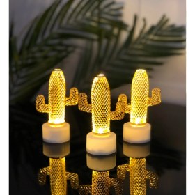 Resim Hediye Biziz Mini Dekoratif Kaktüs Işıklı 2'li 