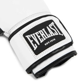 Resim Everlast Powerlock OG Gelişmiş Beyaz/Siyah Antrenman Eldiveni - Beyaz/Siyah / 16OZ 