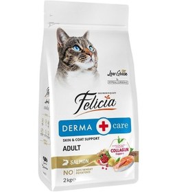 Resim Az Tahıllı Yetişkin Somonlu Hypoallergenic Kedi Maması 2 Kg 
