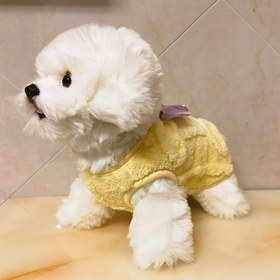 Resim Rahat Kedi Köpek Sweater ile Şerit - Dokuma Polyester Pulover için Küçük, Orta, Mini ve Oyuncak Irkları - Sıcak İki Bacaklı Evcil Hayvan Giyim için Tüm Mevsimler 