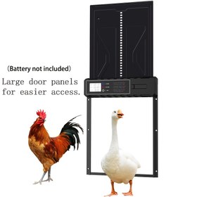Resim Geliştirilmiş Büyük Boy Otomatik Tavuk Kümesi Kapı Açacağı, Zamanlayıcı Özellikli Tam Paslanmaz Çelikten Yapılmış, 3*AA Pil ile Çalışan, Yırtıcıya Karşı Dirençli Kendiliğinden Kilitlenen Tavuk Kümesi Kapısı 