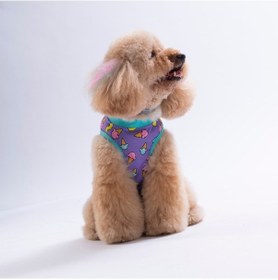 Resim Ice Cream Tişört Kedi Köpek Tişörtü-kedi Köpek Kıyafeti 