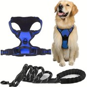 Resim Fochsia S1 Yuvarlak Kayışlı Mavi L Boy Köpek Göğüs Tasması Ve Tasma İkili Set 