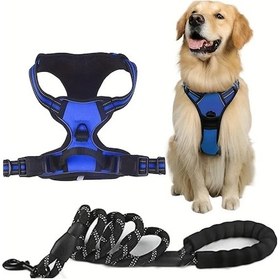 Resim Fochsia S1 Yuvarlak Kayışlı Mavi L Boy Köpek Göğüs Tasması Ve Tasma İkili Set 