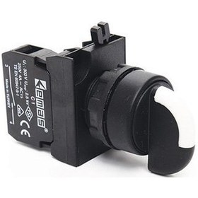 Resim CP Serisi Plastik 1NO (0-I) 60° Seçici Kalıcı 22 mm Buton 