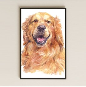 Resim Golden Retriever Suluboya Tasarım Pleksi Tablo 