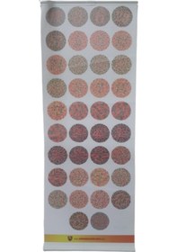 Resim Renk Körlüğü Test Skalası Vinleks Malzeme 75 x 30 CM 