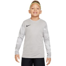 Resim Nike Giyim Forma Y NK DF PARK IV JSY LS GK 