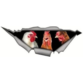 Resim J477 Araba Etiket Tavuk Su Geçirmez Vinil Çıkartması Araba Aksesuarları Dekor 20x7.5cm 