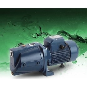 Resim Dayuan 1 Hp-220v-jet Santrifüj Su Pompası-bakır Sargı-bronz Fan 