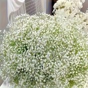 Resim 720 Yapay Gypsophila, Ev Dekorasyonu için Gerçekçi Dokunuşlu Sahte Çiçekler 24 Demet, Yıldönümü, Düğün, Nişan, Şükran Günü, Anneler Günü ve Haziran Doğum Günleri Partisi Süslemeleri İçin Uygun, Plastik Taklit Çiçekler 