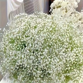 Resim 720 Yapay Gypsophila, Ev Dekorasyonu için Gerçekçi Dokunuşlu Sahte Çiçekler 24 Demet, Yıldönümü, Düğün, Nişan, Şükran Günü, Anneler Günü ve Haziran Doğum Günleri Partisi Süslemeleri İçin Uygun, Plastik Taklit Çiçekler 