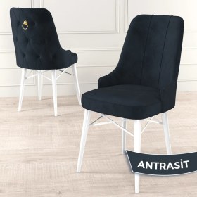 Resim Canisa Concept Pare Serisi Babyface Kumaş Yemek Odası Sandalyesi Beyaz Gürgen Ayak Gold Halkalı 