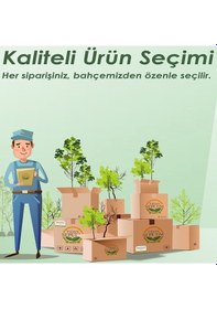 Resim Istanbul Saksı 14 Litre - Altın 
