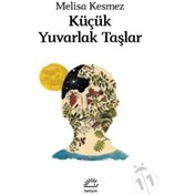 Resim Küçük Yuvarlak Taşlar (551235661) 