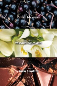 Resim AVON Far Away Rebel Kadın Parfüm ve Vücut Losyonu Paketi 
