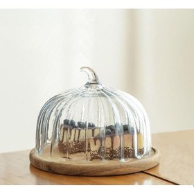 Resim Mien Cam Kek Fanusu Tpd230125 