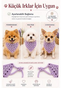 Resim Kadın & Köpek Kombin El Örgüsü Minik Dost Bandana Seti Ayarlanabilir Evcil Hayvan Sahip Kombini Bohem Tasarım Mor 