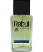 Resim Rebul Silverline Erkek Parfüm EDT 110 ML 