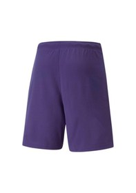 Resim Puma Teamrise Short Erkek Futbol Şortu 70494210 Mor 