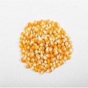 Resim Tane Mısır 20 Kg Yemlik Mısır Yem Mısır Hayvan Yemi Mısır Yemi 