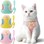 Resim Yeni Kedi Tasması, Yumuşak ve Rahat, Sevimli Stil, Canlı Renkler, Küçükten Orta Boy Kediler İçin Uygun, Kuyruk Bağlantısı Yapılabilir, Gece Güvenliği İçin Yansıtıcı Şeritler Bulunuyor, Ev Oyunları ve Dış Mekan Yürüyüşleri İçin Mükemmel. 