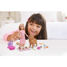 Resim Barbie ve Doğan Köpekler Hck75 