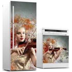 Resim Buzdolabı Ve Bulaşık Makinası Beyaz Eşya Sticker Kaplama Keman Gü 