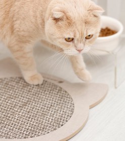 Resim Petbucks Pet Accessories Doğal Sisal Kedi Tırmalama Matı Kedi Tırmalama Tahtası Kedi Otu Catnip İçerikli 
