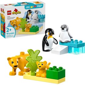 Resim 10442 Lego Duplo Penguen ve Aslanlar 10 parça +2aş 
