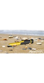 Resim Nokta Makro Pulsedive Scuba Dalış ve Pointer Dedektör 