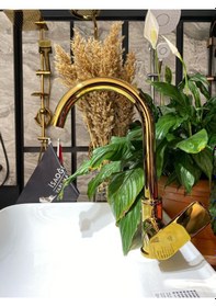 Resim İsaoğlu Yapı Parlak Gold Larancia Mutfak Bataryası Altın Mutfak Bataryası Altın Evye Musluğu Gold 