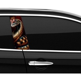 Resim Araba Etiketleri, Tuning Kaplama, Direk Folyosu - Gold Yılan, Snake Renkli 