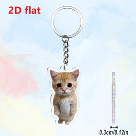 Resim 2D Düz, 1 Adet Sevimli Zencefilli Kedi Akrilik Anahtarlık - İfade Dolu Gözlerle 2D Düz Çanta Süsü, Kadınlar İçin Dayanıklı Tasarım, Kedi Severler için Doğum Günü Hediyesi (Turuncu Pırıltılı Kedi Aksesuarı), 2D Düz 