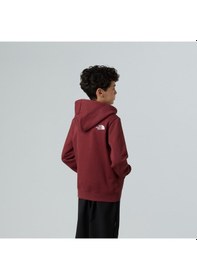 Resim The North Face Teen Drew Peak Pullover Hoodıe Çocuk Sweatshirt Nf0a8ehh0vo1 Çok Renkli 