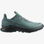 Resim Salomon Alphacross 5 Gtx Erkek Mavi Patika Koşu Ayakkabısı L47595000-28514 Mavi 