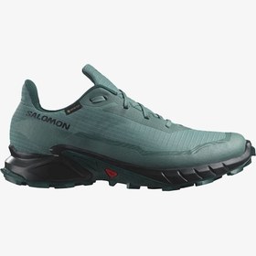 Resim Salomon Alphacross 5 Gtx Erkek Mavi Patika Koşu Ayakkabısı L47595000-28514 Mavi 