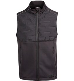 Resim Trespass Maflgıtr0005 Bolflick Active Hybrid Erkek Yelek Siyah 