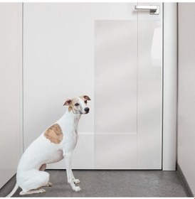 Resim Köpek Tırmalama Mobilya Kapı Koruyucu Yapışkanlı Folyo 60 x 85 CM Şeffaf 