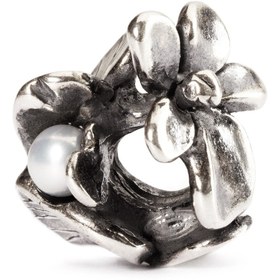 Resim Şubat Ayı Menekşe Çiçeği 