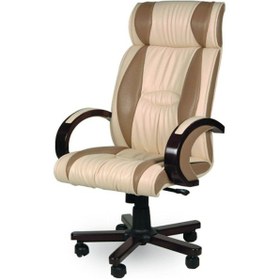 Resim Koltukstilim Carizma Makam Koltuğu Diğer 