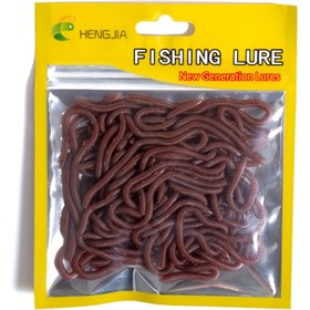Resim 50 adet HengJia Gerçekçi Solucan Balıkçılık Yemleri - 4cm & 8cm Yumuşak Plastik Solucanlar, Tatlı ve Tuzlu Su Balıkçılığı için Canlı Hareketli Kırmızı Yapay Yemler, Kolay Saklama İçin Poşetlenmiş, Solucana Benzer Tasarım, Dayanıklı Kanca Tutucu 