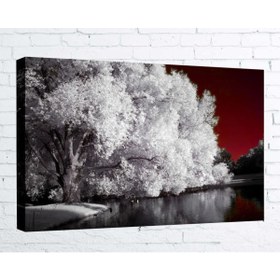 Resim Kanvas Tablo - 70x100 Cm - Ağaç - Agc023 