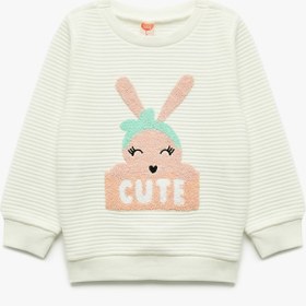 Resim Kız Bebek Bisiklet Yaka Nakışlı Dokulu Uzun Kollu Sweatshirt 