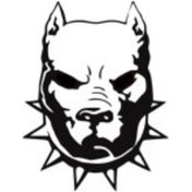 Resim Byr002 Pitbull Oto Motor Laptop Duvar Folyo Sticker 40x48 Cm Efsngrck 