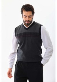 Resim Pelikan Erkek Desenli V Yaka Süveter 9602 Lacivert 