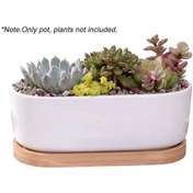 Resim Ximistore9 Beyaz Renkli Seramik Saksı Ve Bambu Tepsi Seti, Sukulent Ve Kaktüsler İçin İdeal Ofis Ve Ev Dekorasyonu. 