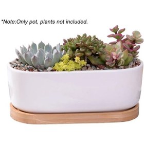 Resim Ximistore9 Beyaz Renkli Seramik Saksı Ve Bambu Tepsi Seti, Sukulent Ve Kaktüsler İçin İdeal Ofis Ve Ev Dekorasyonu. 