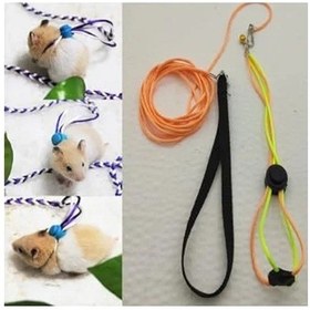 Resim Patentli Hamster Gezdirme Tasması - Dolaştırma İçin 
