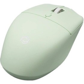 Resim Frısby Fm-290wm Kablosuz Mouse Green Diğer 